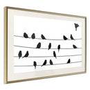 Poster - Birds Council Meeting  - goud passepartout