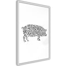 Poster - Curly Pig   - wit