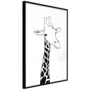 Poster - Black and White Giraffe  - zwart
