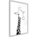 Poster - Black and White Giraffe  - wit