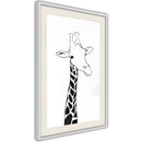 Poster - Black and White Giraffe  - wit passepartout