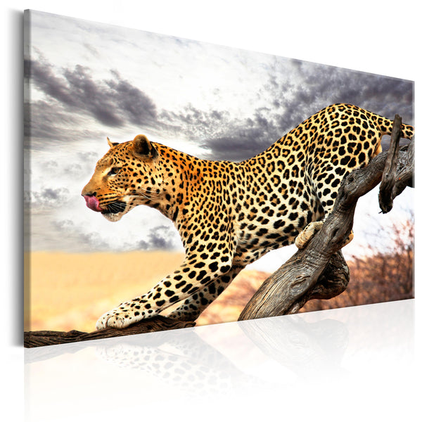 https://www.fotoartgeist.pl/ebaytemp/obrazy1/g-B-0021-b-a/g-B-0021-b-a-eb10.jpg
