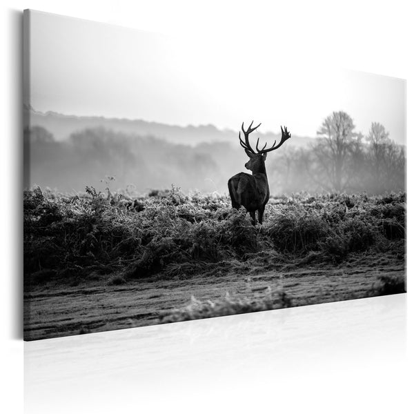 https://www.fotoartgeist.pl/ebaytemp/obrazy1/g-B-0048-b-c/g-B-0048-b-c-eb1.jpg