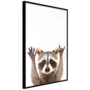 Poster - Funny Racoon  - zwart