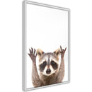 Poster - Funny Racoon  - wit