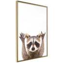 Poster - Funny Racoon  - goud