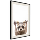 Poster - Funny Racoon  - zwart passepartout