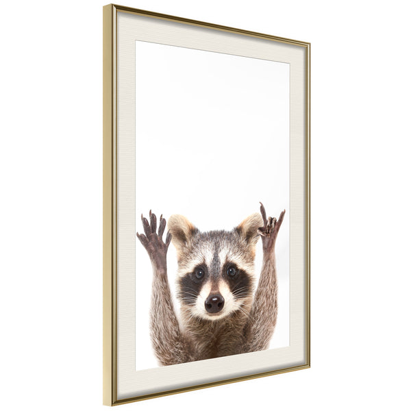 Poster - Funny Racoon  - goud passepartout