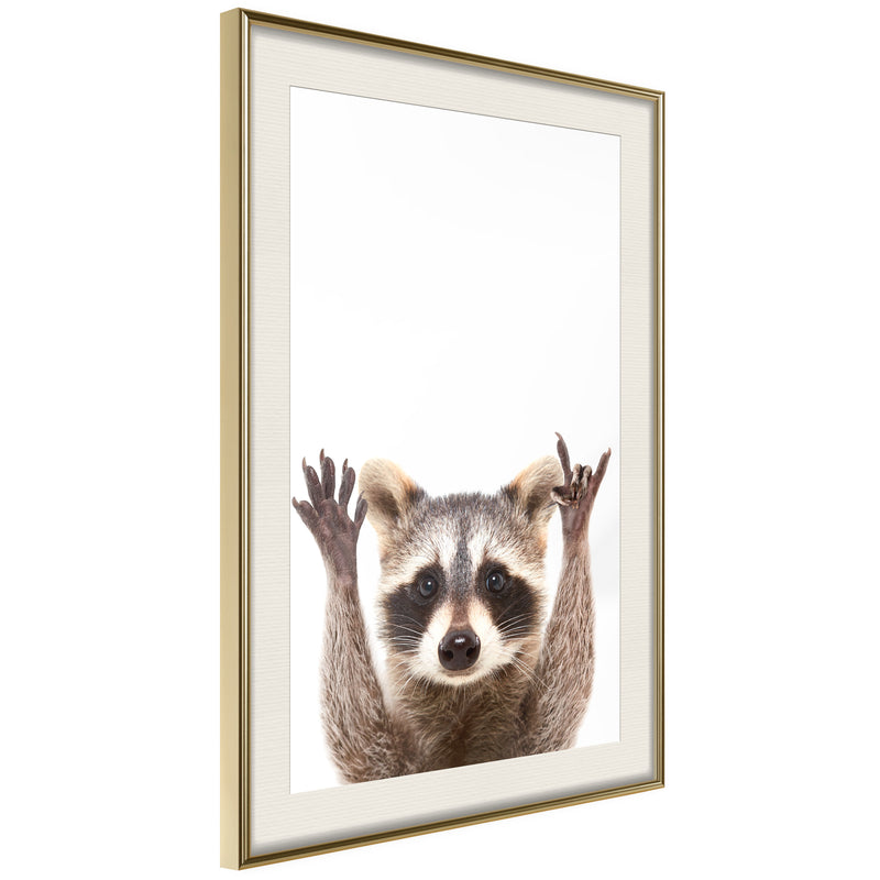 Poster - Funny Racoon  - goud passepartout