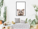 Poster - Funny Racoon  - zwart