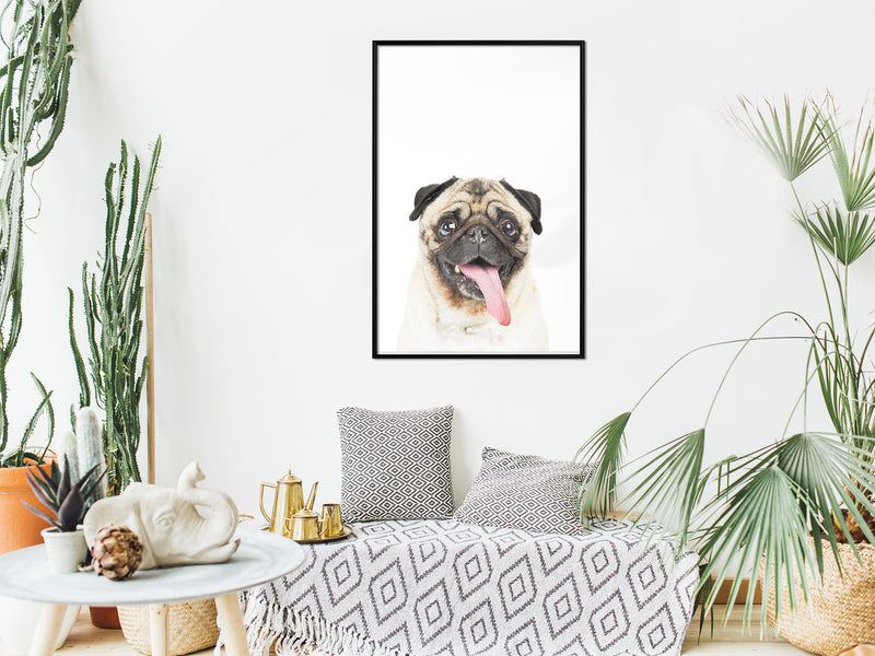 Poster - Funny Pug  - zwart