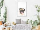 Poster - Funny Pug  - wit