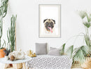 Poster - Funny Pug  - wit passepartout