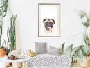 Poster - Funny Pug  - goud passepartout