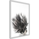 Poster - Funny Chihuahua  - wit