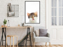 Poster - Funny Kitten  - zwart
