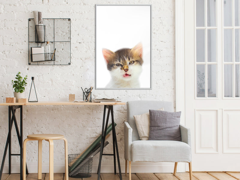 Poster - Funny Kitten  - wit