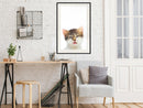 Poster - Funny Kitten  - zwart passepartout