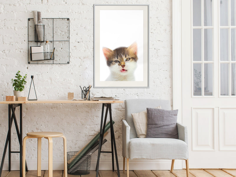 Poster - Funny Kitten  - wit passepartout