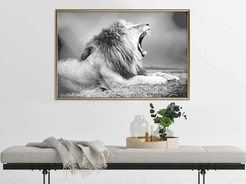 Poster - Yawning Lion  - goud