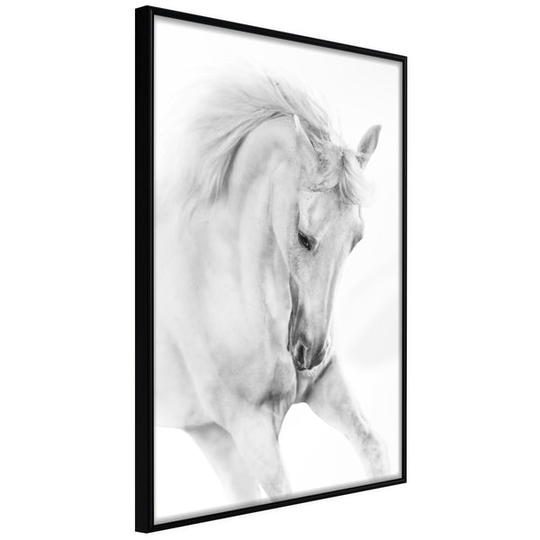 Poster - Beauty in Motion  - zwart
