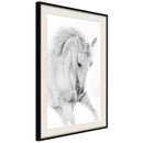 Poster - Beauty in Motion  - zwart passepartout