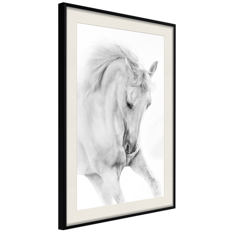 Poster - Beauty in Motion  - zwart passepartout