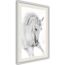 Poster - Beauty in Motion  - wit passepartout