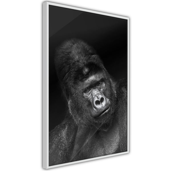 Poster - Intelligent Gaze  - wit