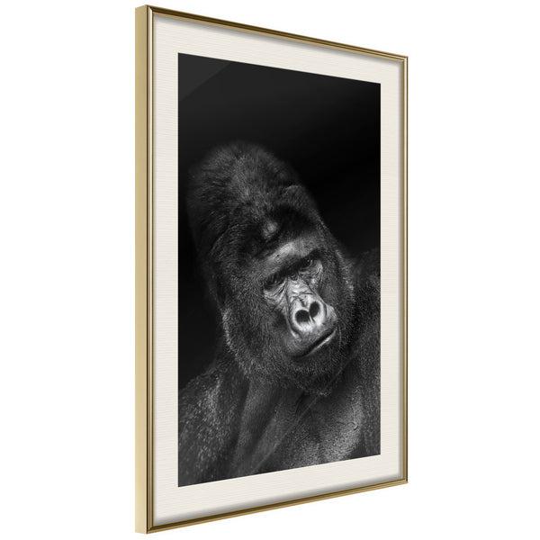 Poster - Intelligent Gaze  - goud passepartout