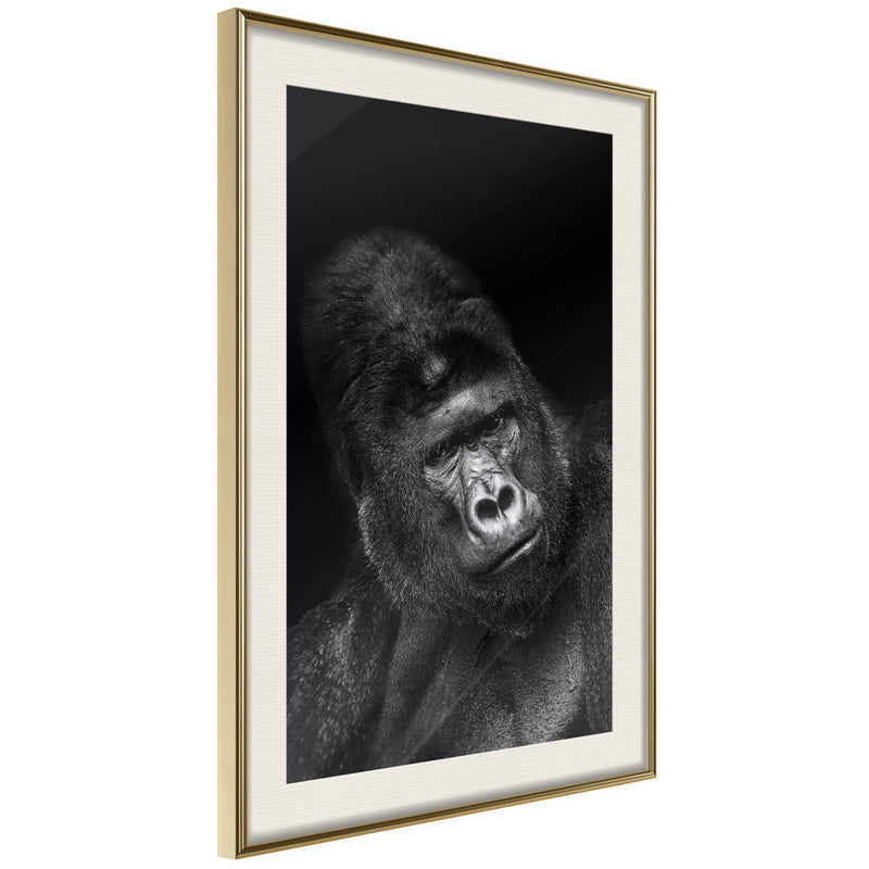 Poster - Intelligent Gaze  - goud passepartout