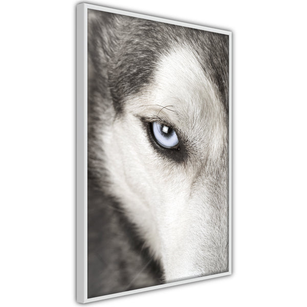 Poster - Azure Eye  - wit