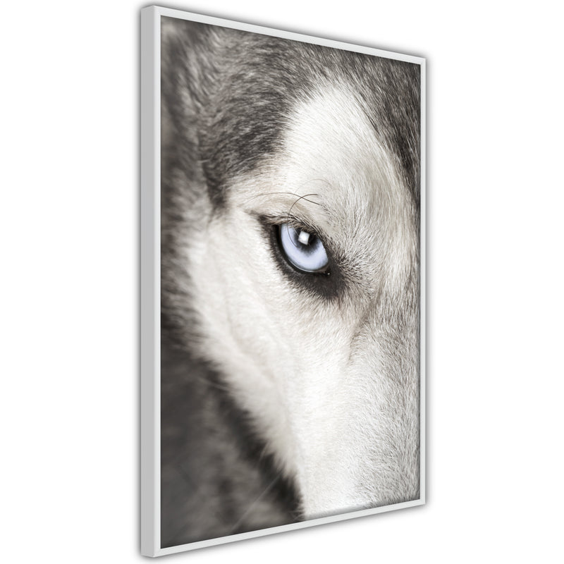 Poster - Azure Eye  - wit