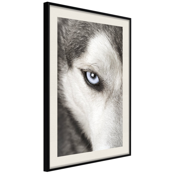 Poster - Azure Eye  - zwart passepartout