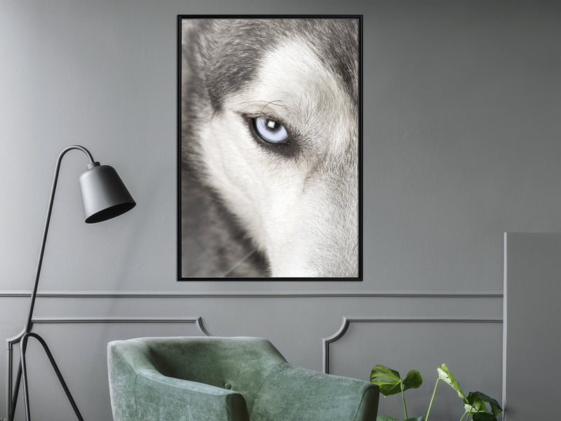 Poster - Azure Eye  - zwart