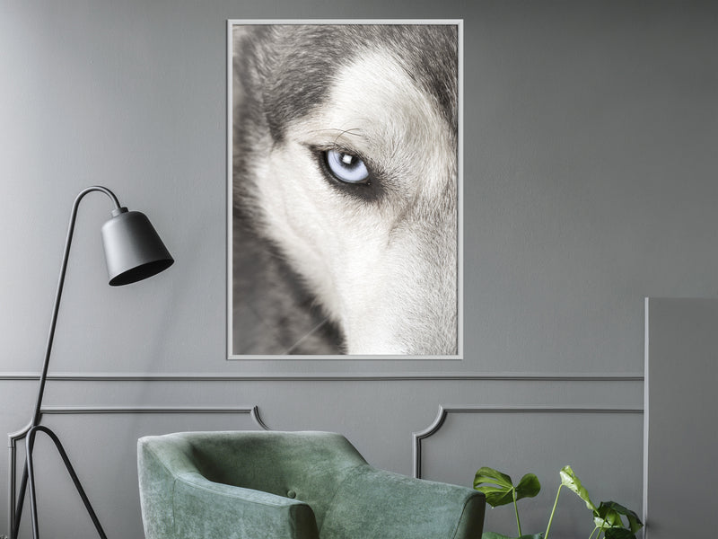 Poster - Azure Eye  - wit