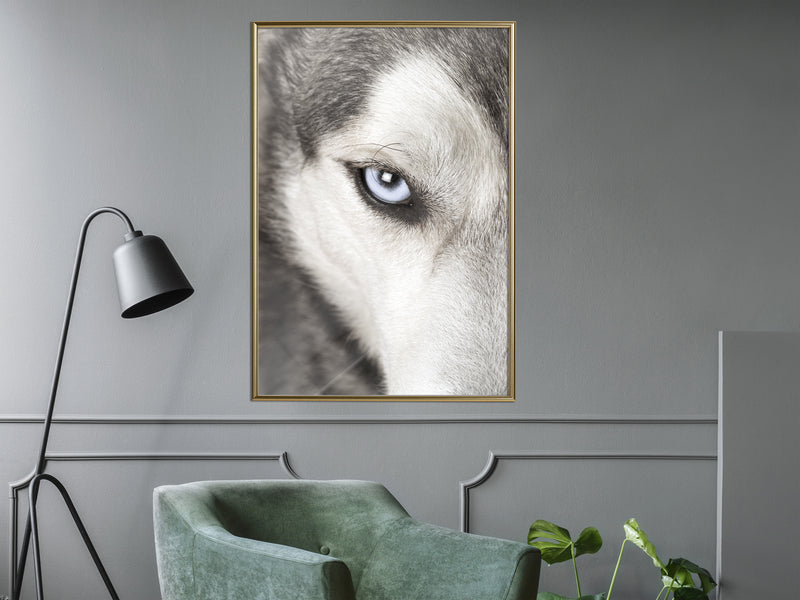 Poster - Azure Eye  - goud