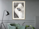 Poster - Azure Eye  - goud passepartout