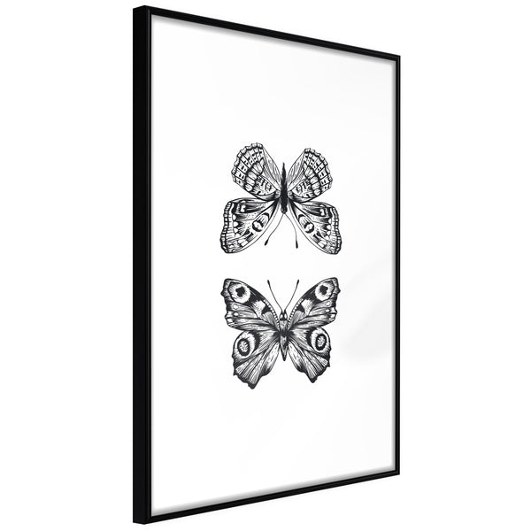 Poster - Butterfly Collection I  - zwart