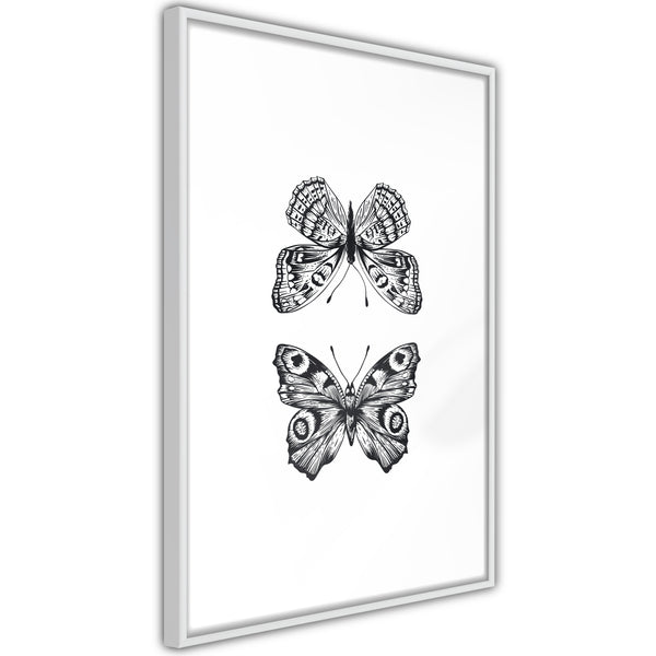 Poster - Butterfly Collection I  - wit