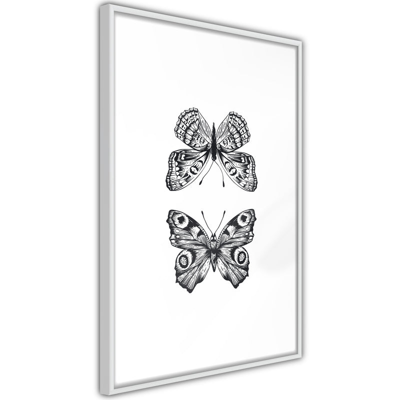 Poster - Butterfly Collection I  - wit