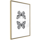 Poster - Butterfly Collection I  - goud