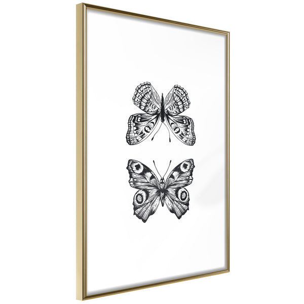 Poster - Butterfly Collection I  - goud
