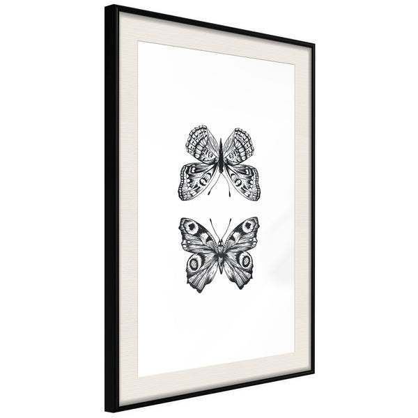 Poster - Butterfly Collection I  - zwart passepartout