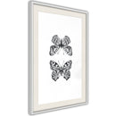 Poster - Butterfly Collection I  - wit passepartout