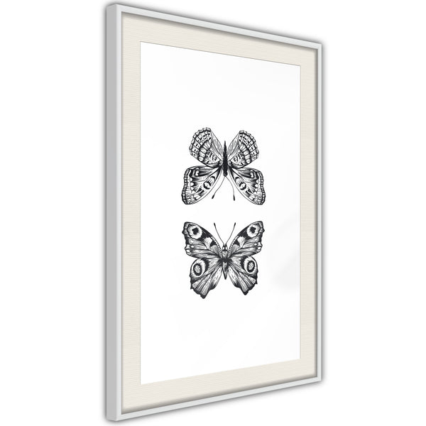 Poster - Butterfly Collection I  - wit passepartout