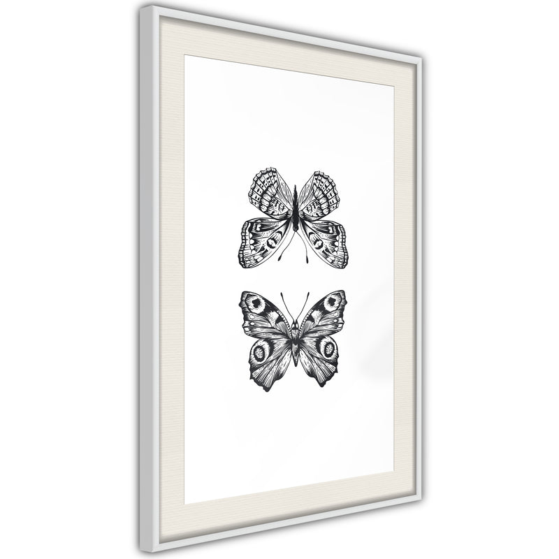 Poster - Butterfly Collection I  - wit passepartout