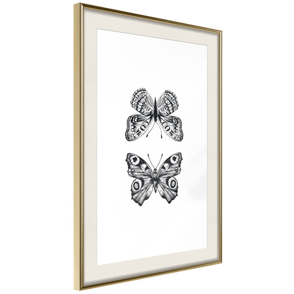 Poster - Butterfly Collection I  - goud passepartout