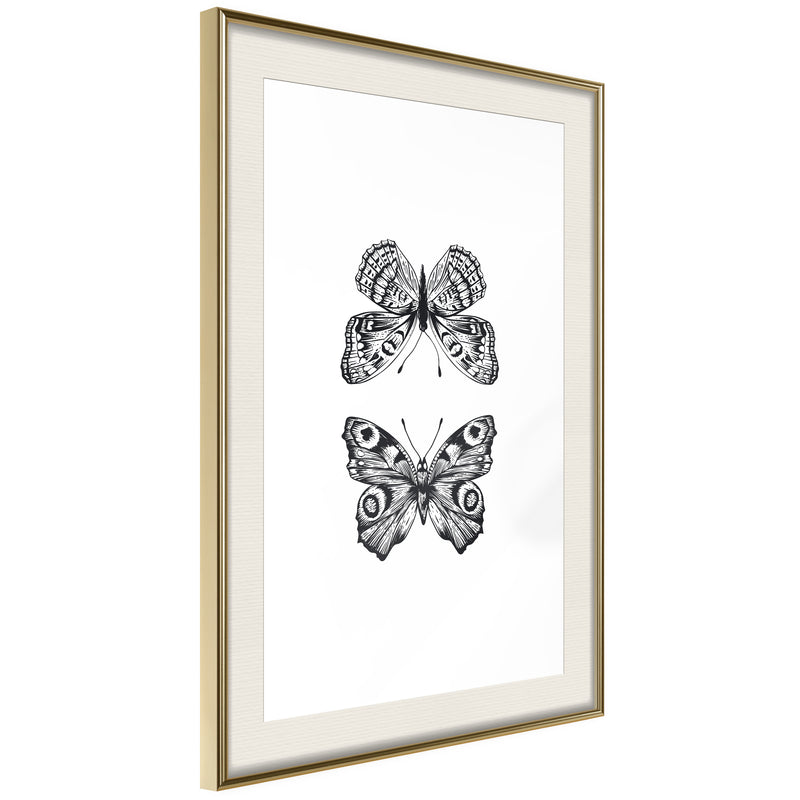Poster - Butterfly Collection I  - goud passepartout