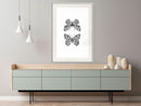 Poster - Butterfly Collection I  - wit passepartout